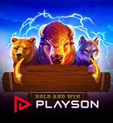 PLAYSON